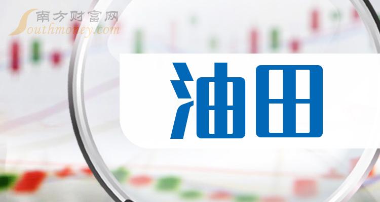 2024年中国页岩气行业现状调研与发展趋势 全球最大变质岩油田渤中26-6开钻_人保伴您前行,人保服务