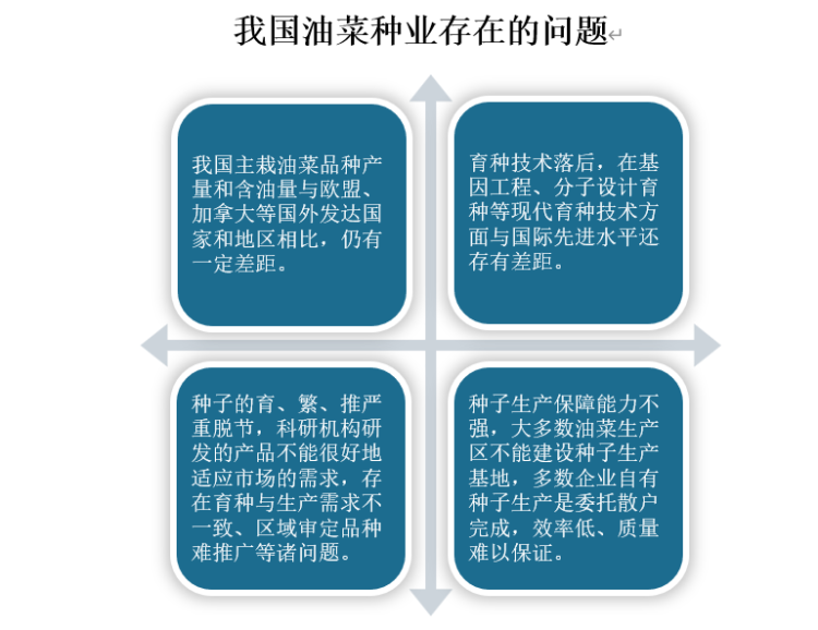 油菜行业深度调研2024_人保财险 ,人保护你周全
