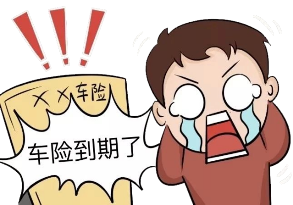 人保车险   品牌优势——快速了解燃油汽车车险,人保伴您前行_城市绿化行业发展现状及前景趋势分析