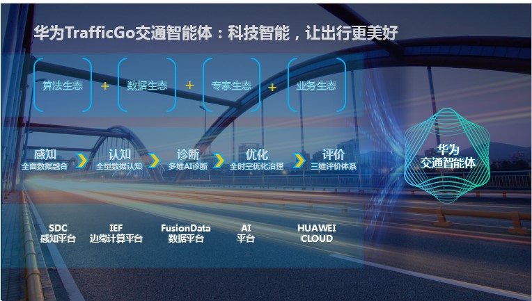 拥有“如意行”驾乘险，出行更顺畅！,人保财险 _2024年黑木耳行业市场发展现状及未来发展前景分析