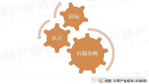 2024年药用包装容器行业的市场发展现状及投资前景分析_人保财险政银保 ,拥有“如意行”驾乘险，出行更顺畅！