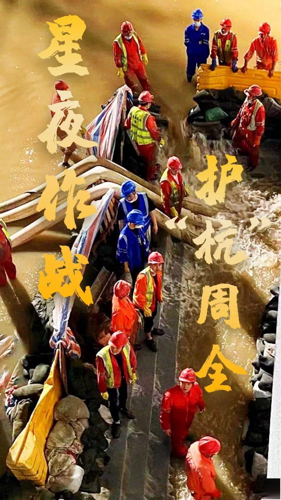 电动平衡车行业市场调研与投资潜力评估2024_人保服务,人保护你周全