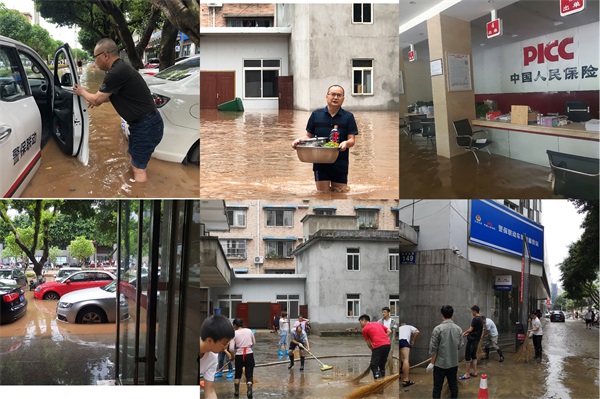 人保服务,人保财险 _2024年移动电源行业市场需求及未来前景趋势