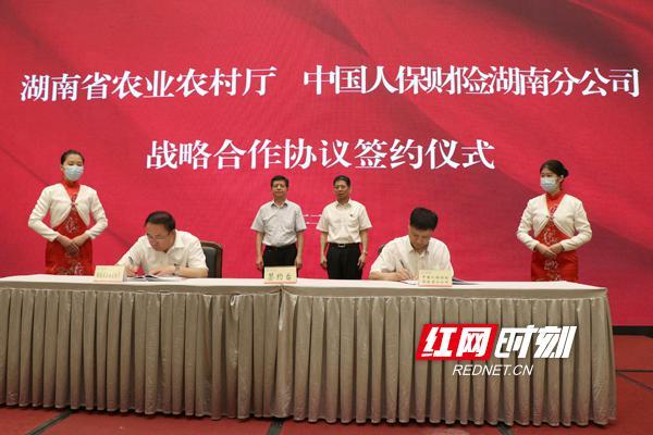 2024年中国新型建筑行业的产业链上下游结构及投资机会分析_人保财险政银保 ,人保有温度