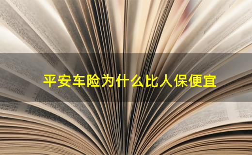 滴滴出行是合资企业吗_人保车险   品牌优势——快速了解燃油汽车车险,人保车险