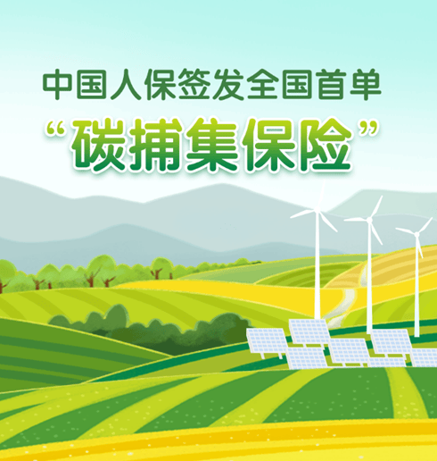 保险有温度,人保财险 _2024年中国数字政府建设行业全景分析报告
