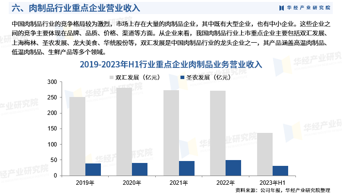 2024年中国安全芯片行业的市场发展现状及投资风险分析_人保服务,人保伴您前行