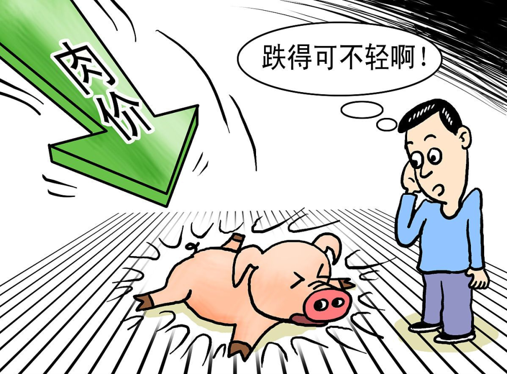 人保服务 ,人保车险_生猪价格小幅走弱，长期来看猪价仍有望上涨 中国生猪养殖行业市场竞争分析与产业链构成概述