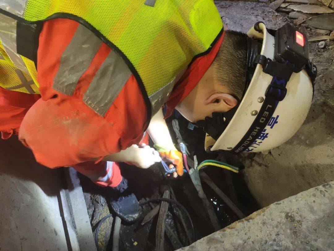 人保车险,人保护你周全_2024年食品添加剂行业市场全景调研及未来发展趋势与前景分析报告（简版）