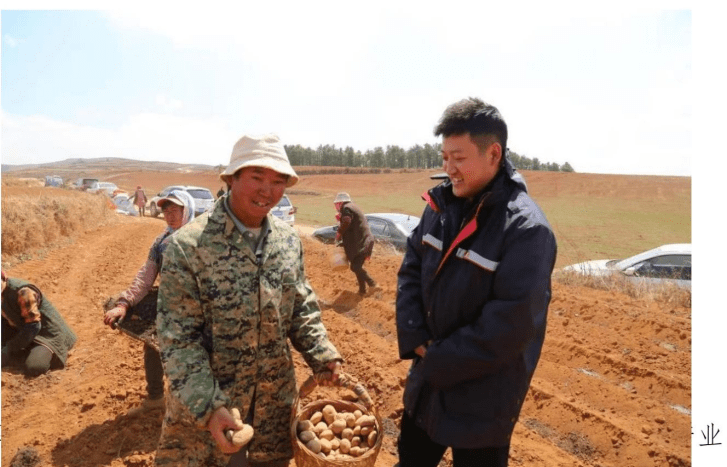 粮食加工行业深度调研及投资机会分析_人保财险 ,人保有温度