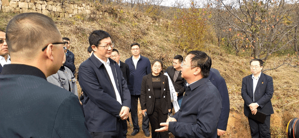 2024口腔护理行业市场未来发展方向及前景预测_人保服务,人保财险 