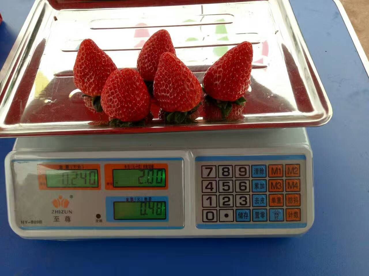 中国新鲜草莓行业市场调查与发展前景分析_拥有“如意行”驾乘险，出行更顺畅！,人保有温度