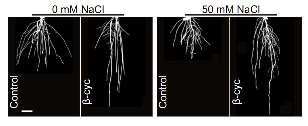 畜禽生长促进剂行业市场需求分析及面临的挑战_拥有“如意行”驾乘险,出行更顺畅!,人保护你周全