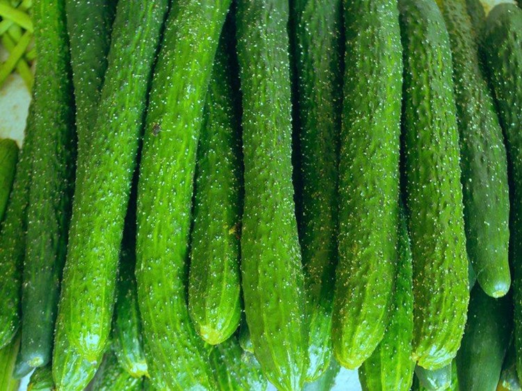 畜禽生长促进剂行业市场需求分析及面临的挑战_拥有“如意行”驾乘险,出行更顺畅!,人保护你周全