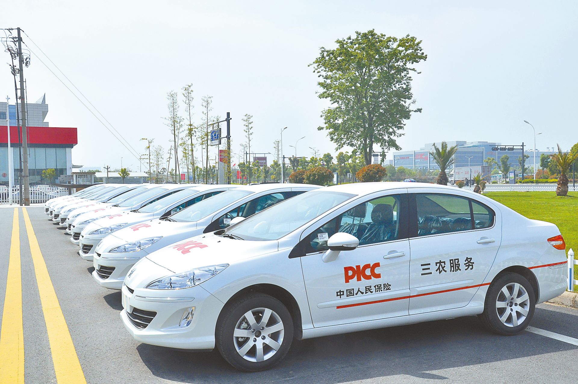 人保伴您前行,人保财险 _中国基础软件服务行业市场调查与投资建议分析