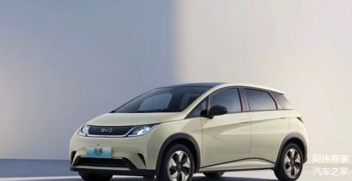 人保车险,拥有“如意行”驾乘险，出行更顺畅！_2024桑葚行业市场现状及发展形势分析