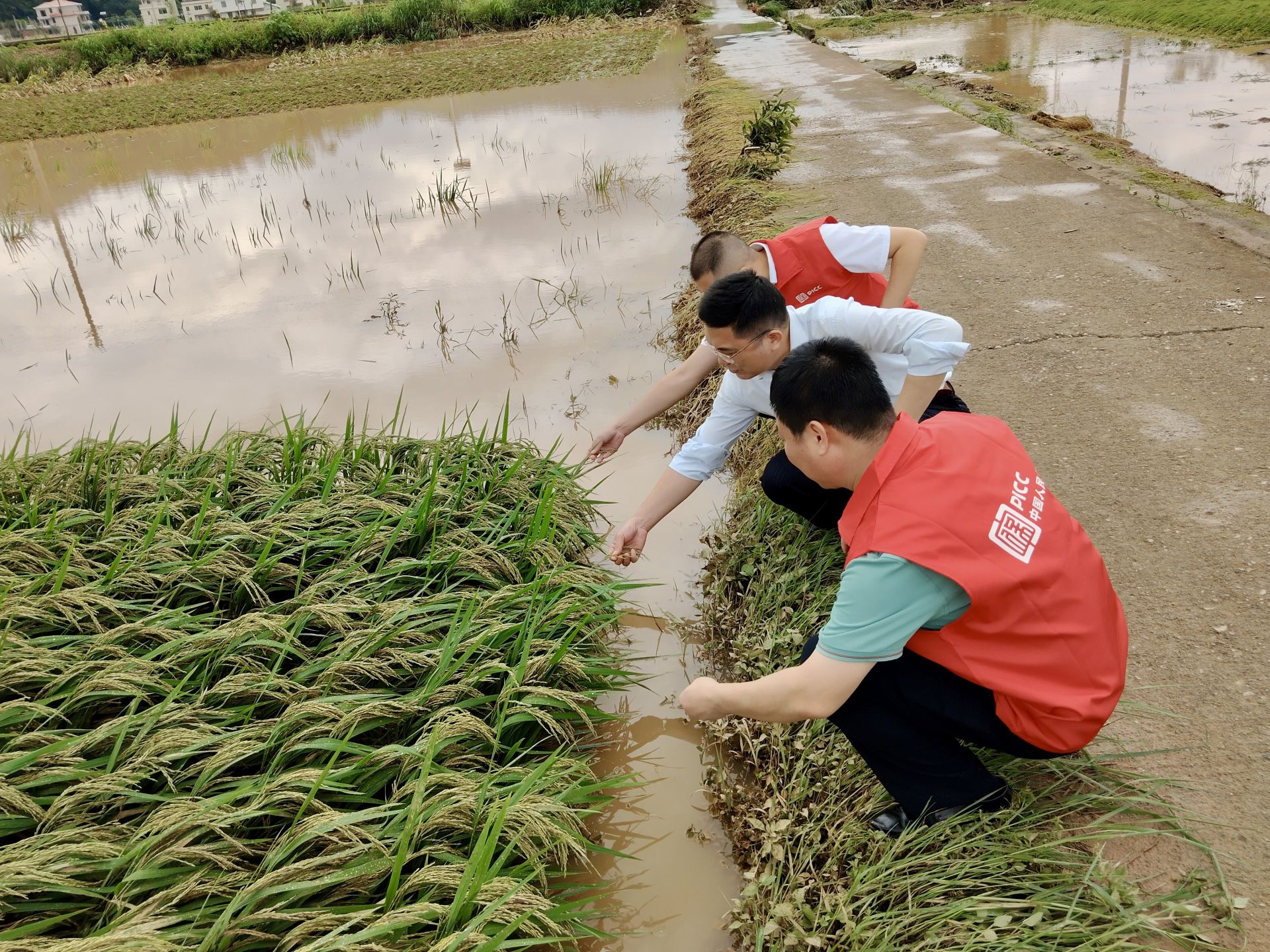 人保财险政银保 ,人保财险 _2024年桌球行业市场竞争格局及发展趋势分析