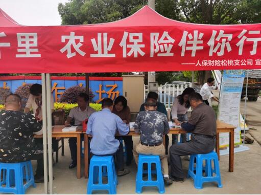 人保伴您前行,人保财险 _自媒体行业发展趋势及投资分析