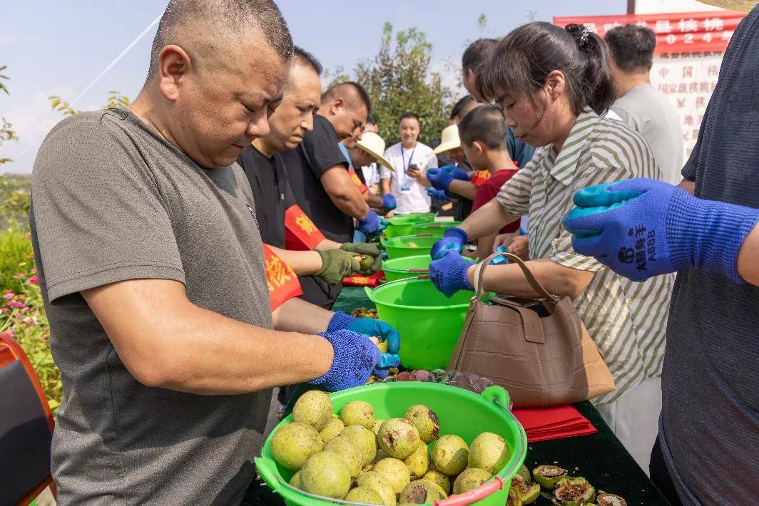 2024核桃行业市场未来发展趋势及前景预测_人保车险 品牌优势——快速了解燃油汽车车险,人保服务