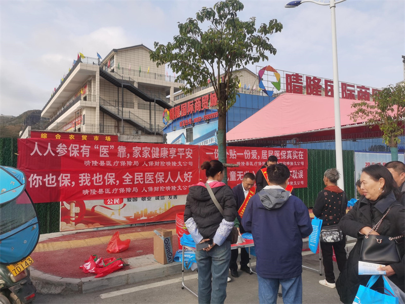 2025油橄榄行业市场发展现状及竞争格局、供需格局分析_人保伴您前行,人保财险 