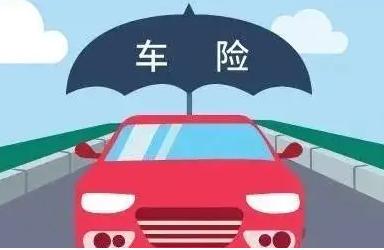 人保车险 品牌优势——快速了解燃油汽车车险,保险有温度_2025年味精行业发展趋势及投资分析