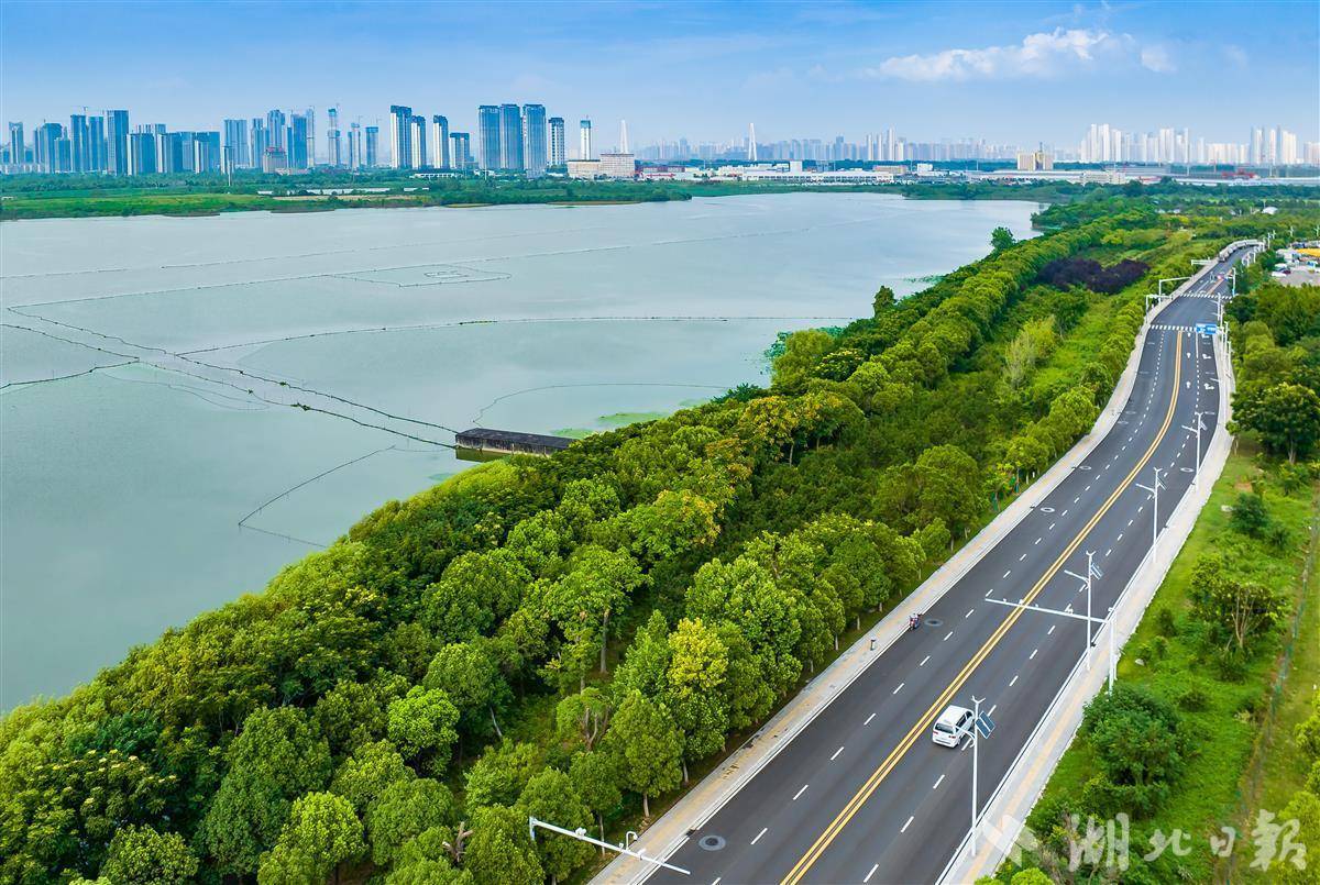 人保伴您前行,拥有“如意行”驾乘险，出行更顺畅！_2024年婴幼儿营养品行业发展现状、竞争格局及未来发展趋势与前景分析