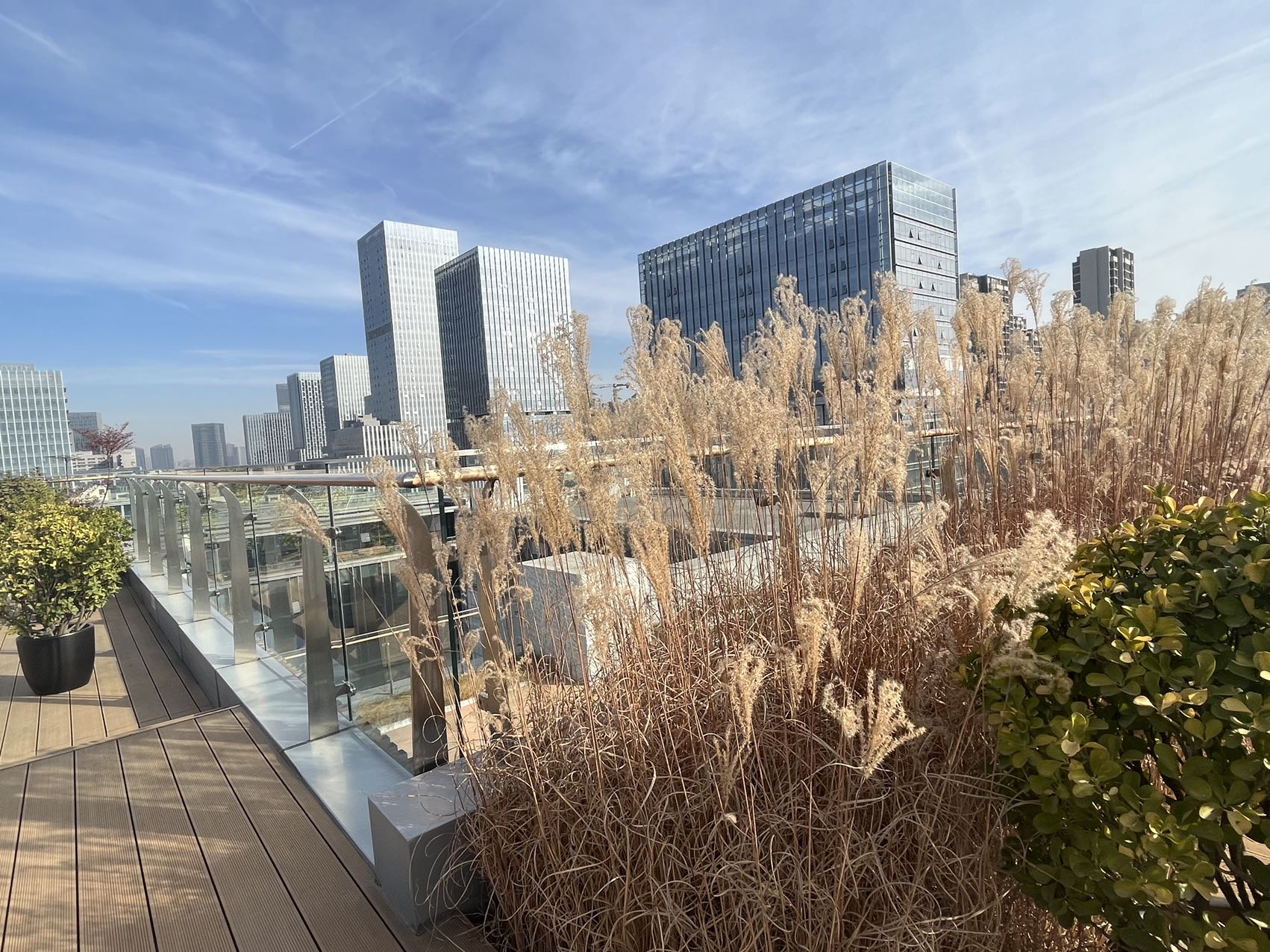 中保投资旗下基金再出手 持续加码集成电路等产业