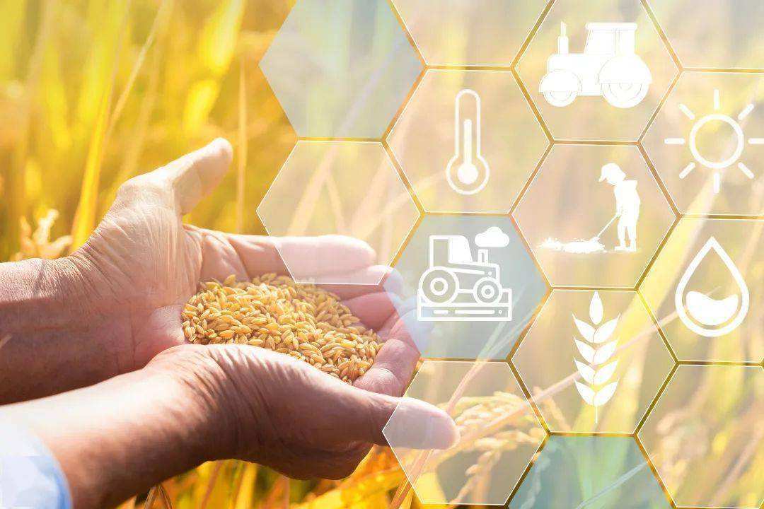 2025森林公园行业市场现状及供需格局、未来趋势分析_人保服务 ,人保车险