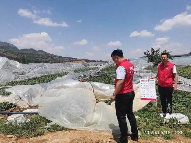 2025年西裤行业发展趋势及供需分析_人保服务 ,人保服务