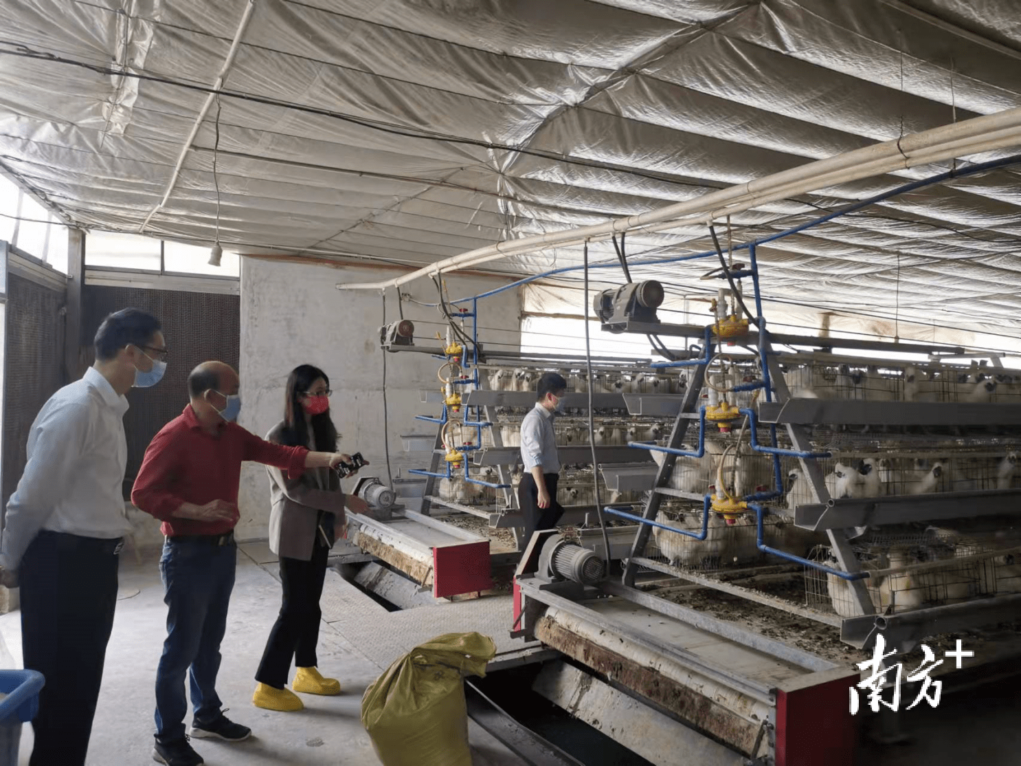 纸浆制造行业市场深度调研及发展现状分析2025_人保服务,拥有“如意行”驾乘险，出行更顺畅！