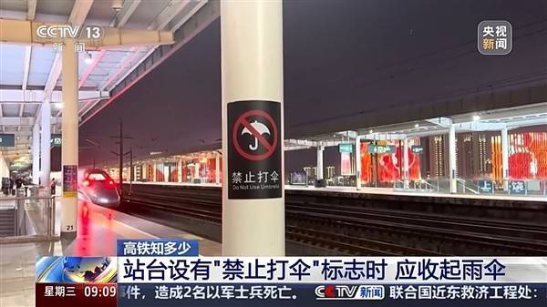 保险有温度,人保护你周全_2024年槟榔行业市场深度调研与投资潜力研究报告