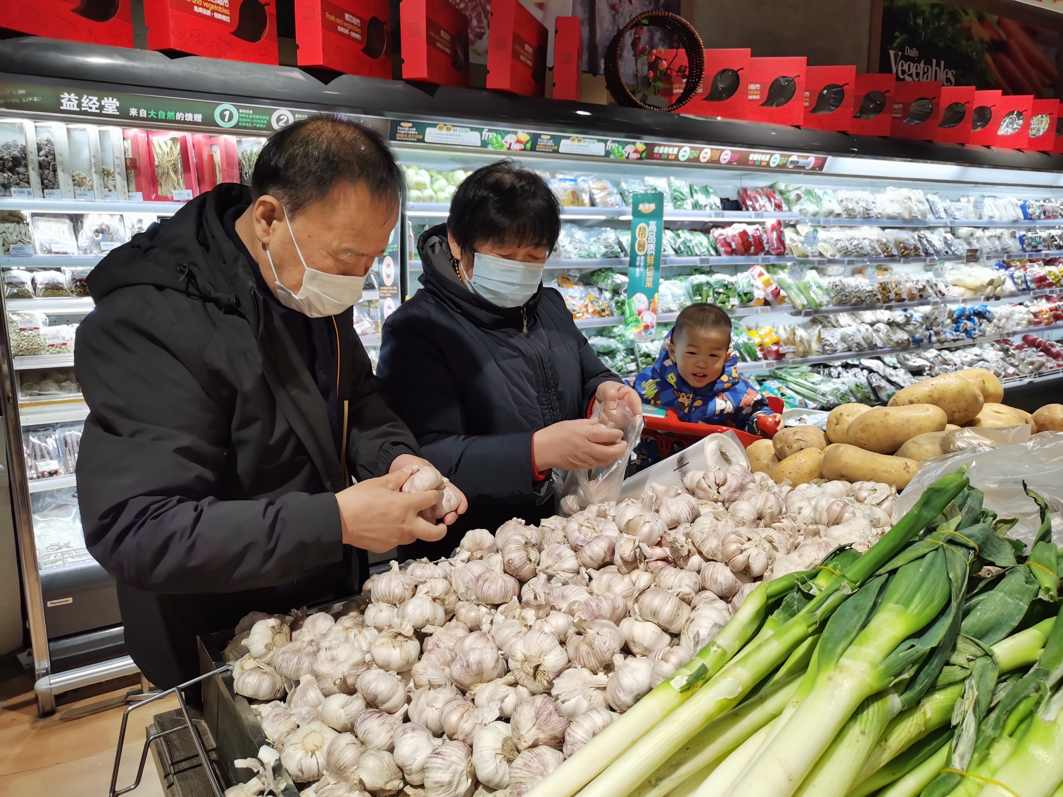 2025年杂粮行业市场深度分析报告——从“边缘配角”到“餐桌C位”的产业跃迁_人保财险政银保 ,人保财险 