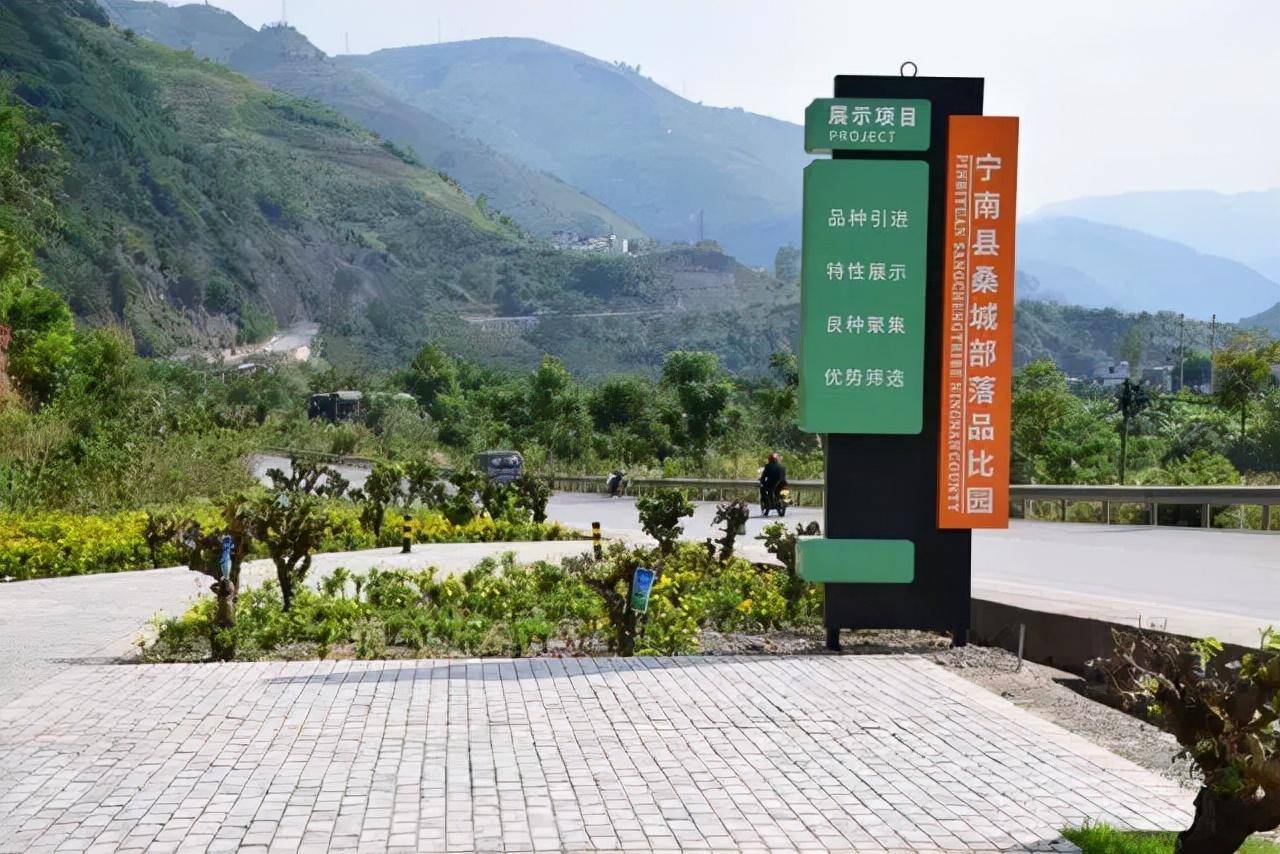 2025年节水农业行业现状与发展趋势分析_人保服务 ,人保车险   品牌优势——快速了解燃油汽车车险