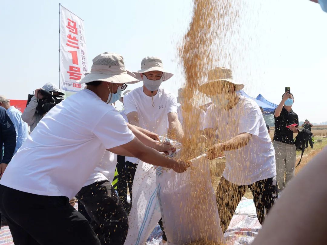 2025年节水农业行业现状与发展趋势分析_人保服务 ,人保车险   品牌优势——快速了解燃油汽车车险