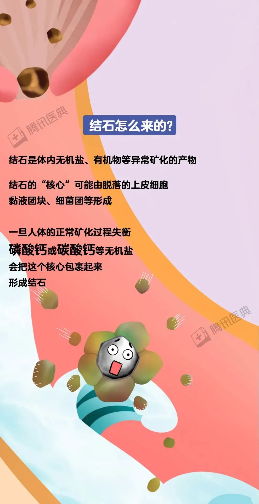 人保伴您前行,人保财险政银保 _2025年饲料磷酸钙盐行业现状与发展趋势分析