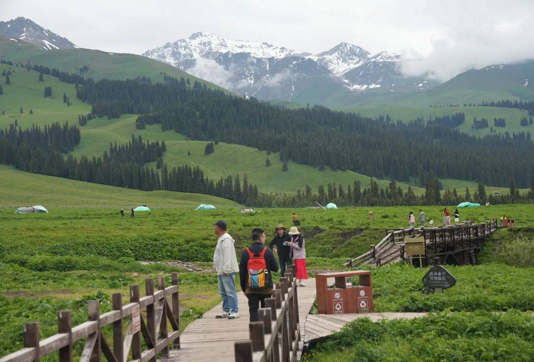 人保车险,人保有温度_2025年中国绿色交通行业发展现状及前景分析