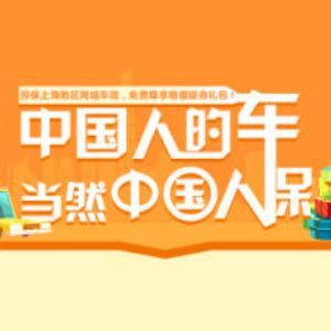 2025年一人食经济行业现状与发展趋势分析_保险有温度,人保车险
