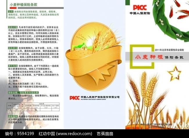 人保财险政银保 ,人保有温度_2025年香菜籽行业现状与发展趋势分析
