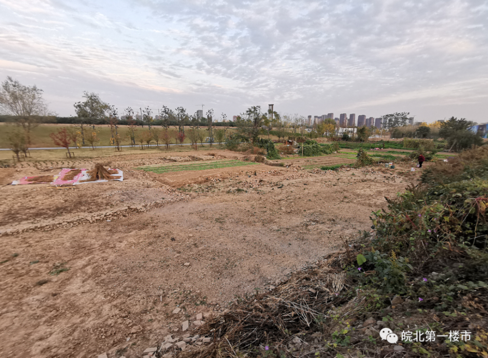 抢地王？抢地段！