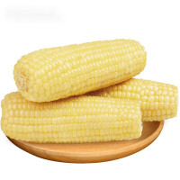 玉米概念下跌5.84%,5股主力资金净流出超亿元