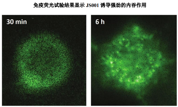 人福医药(600079.SH)：HWS116注射液获得药物临床试验批准通知书