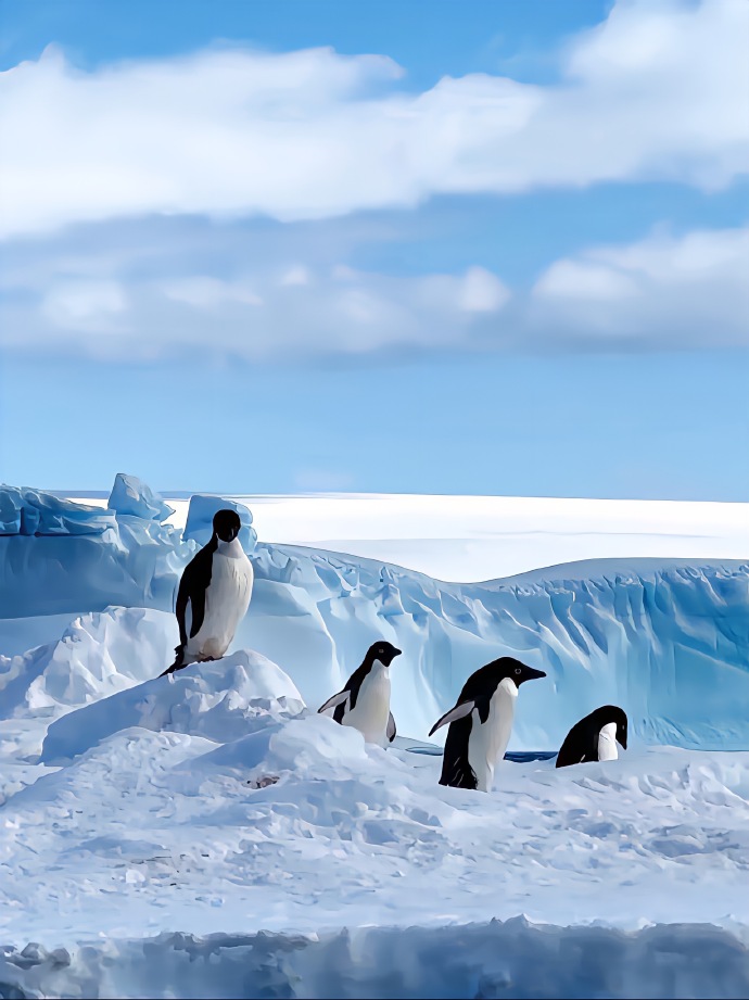 我国科学家研究证实：南极大陆整体呈现显著增温趋势