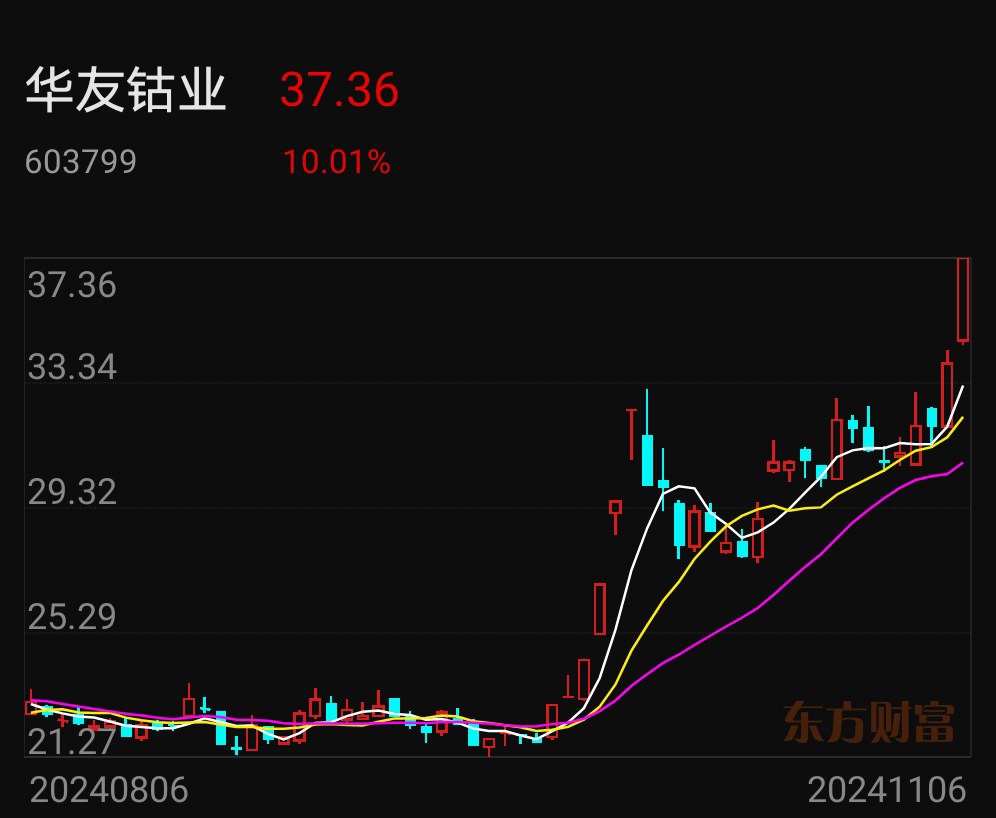 寒锐钴业（300618）2024年年报简析：营收净利润同比双双增长，盈利能力上升