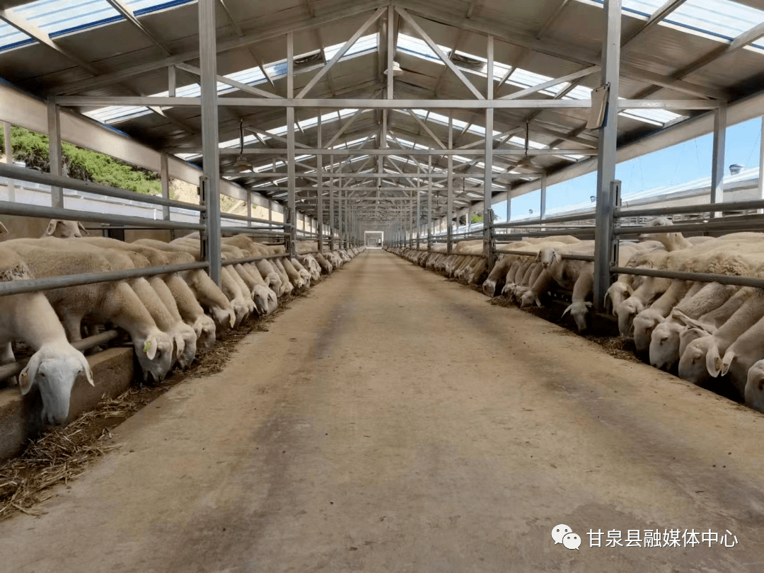 粮食概念下跌3.03%，8股主力资金净流出超3000万元