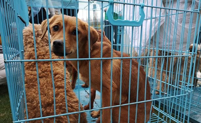 今日124只股长线走稳 站上年线