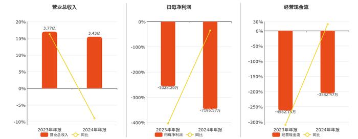 天能重工(300569.SZ)：2024年净亏损2.62亿元