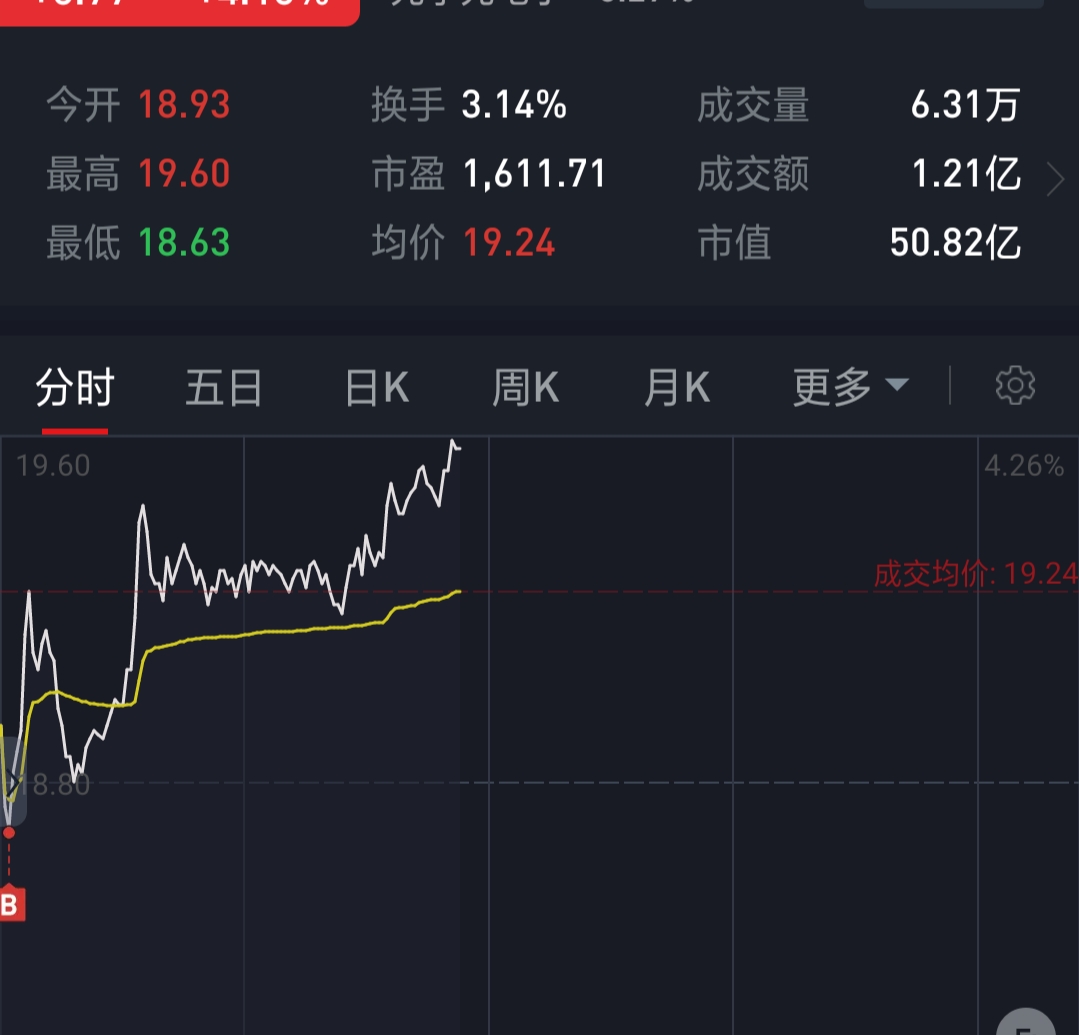 苏大维格(300331.SZ)：2024年净亏损5805万元