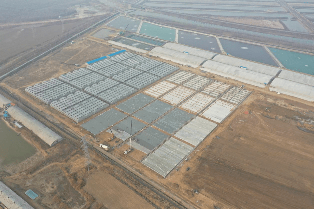 毕得医药2024年净利1.17亿增长7%：时任董秘李涛薪酬99.02万涨薪0.81万