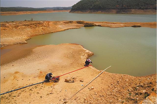 苏垦农发：干旱与高温对公司小大麦产量和品质有一定不良影响
