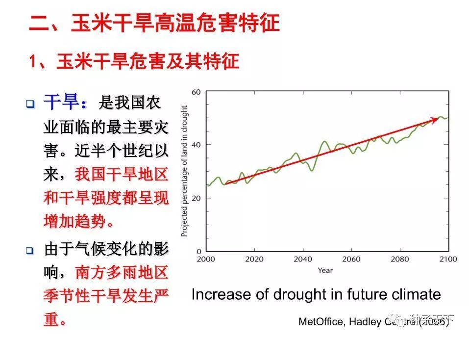 苏垦农发：干旱与高温对公司小大麦产量和品质有一定不良影响